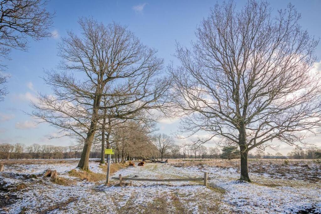 Villa Leva - Logeren In Drenthe à Doldersum Extérieur photo