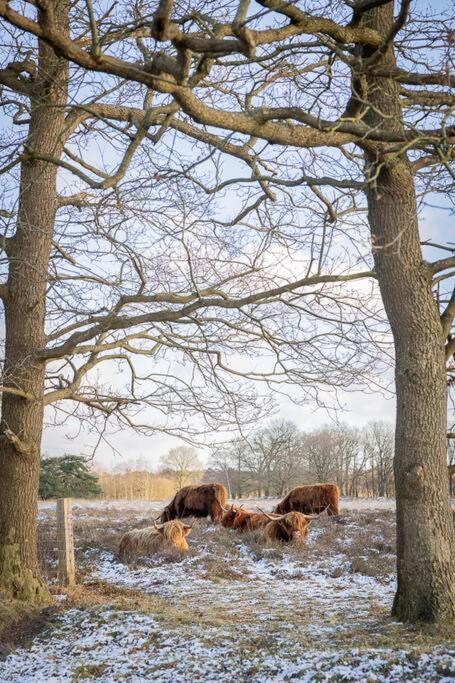 Villa Leva - Logeren In Drenthe à Doldersum Extérieur photo