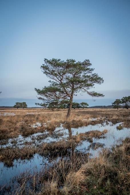 Villa Leva - Logeren In Drenthe à Doldersum Extérieur photo